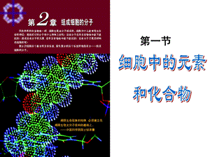 细胞中的元素和化合物终极版.ppt