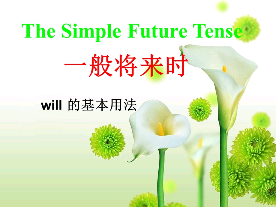 一般将来时will的用法.ppt_第3页