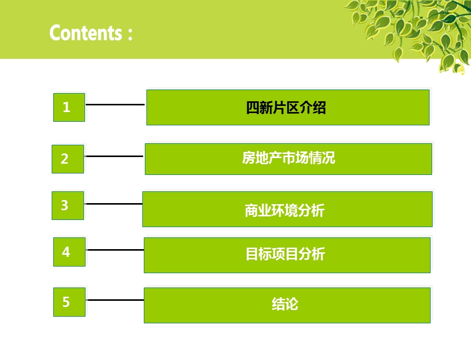 5月武汉四新片区项目可研分析报告48PPT.ppt_第2页