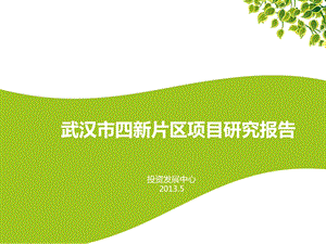 5月武汉四新片区项目可研分析报告48PPT.ppt