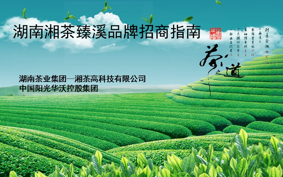 湘茶臻溪系列招商加盟手册.ppt_第1页