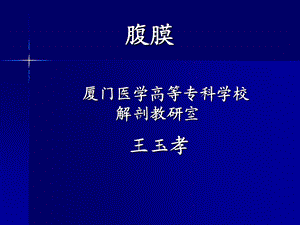 中国医科大学局部解剖学课件2.ppt