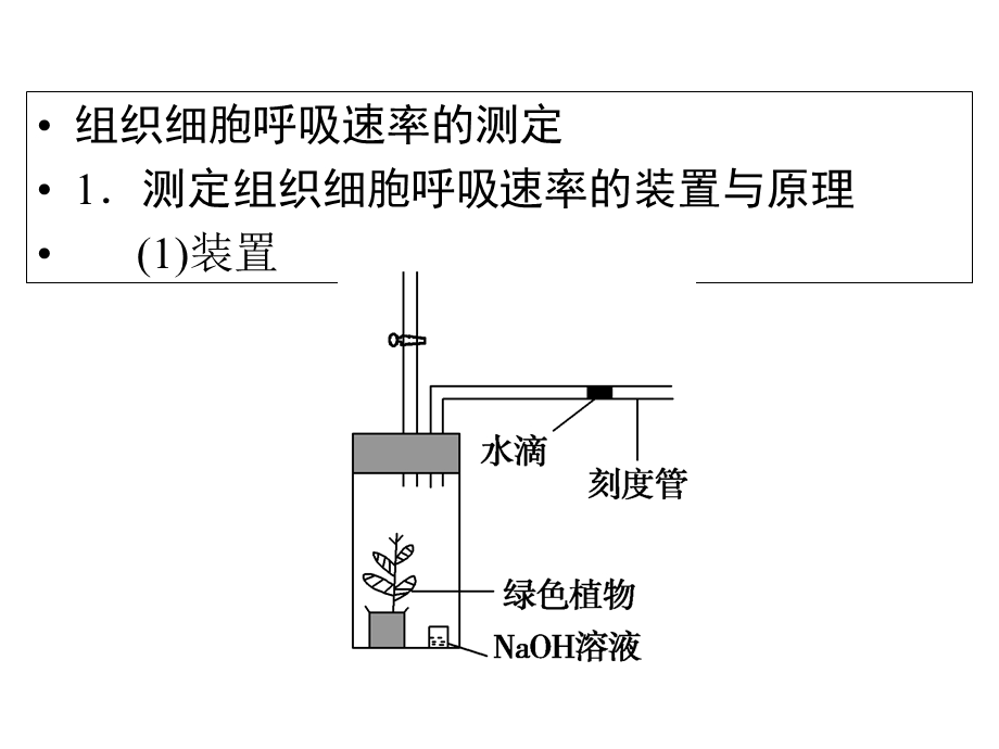 一轮复习《细胞呼吸》.ppt_第2页