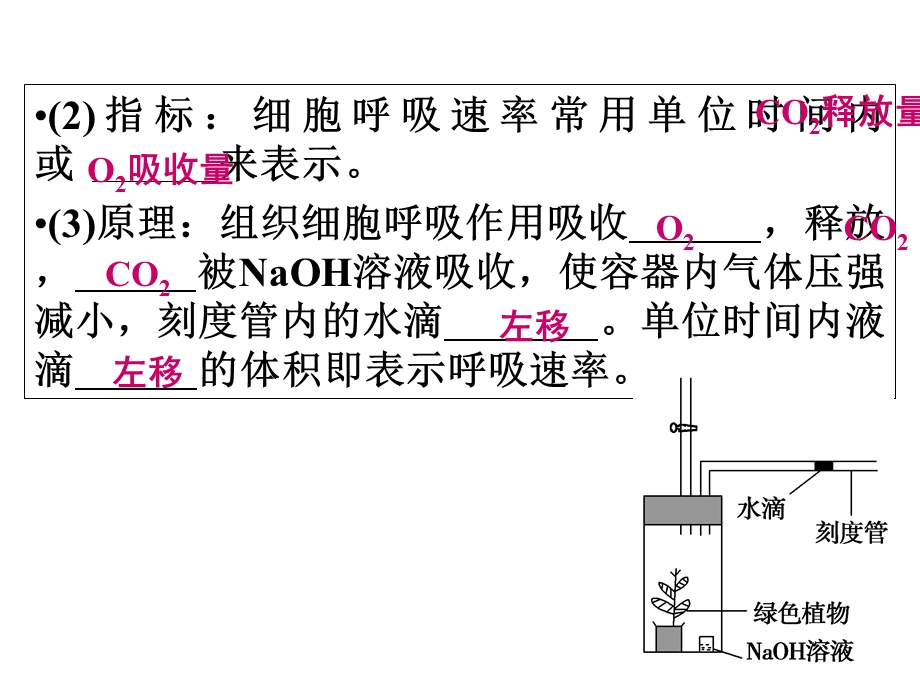 一轮复习《细胞呼吸》.ppt_第3页