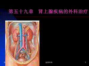 第六十章肾上腺疾病的外科.ppt