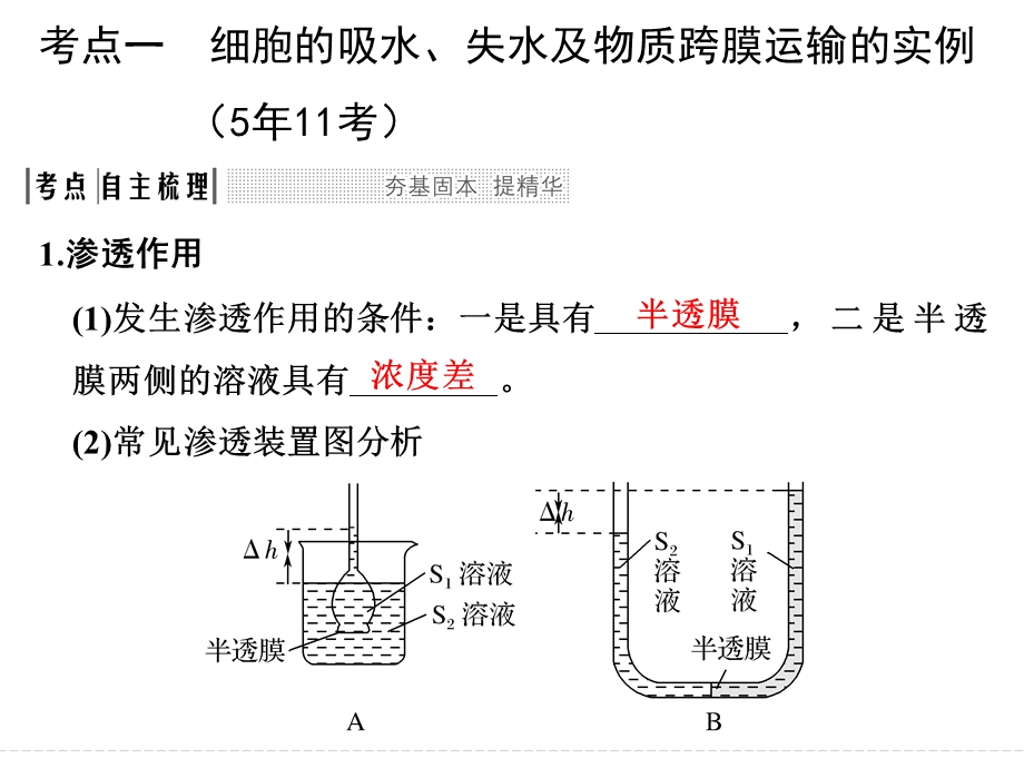 一轮复习-物质跨膜运输的实例和方式.ppt_第2页