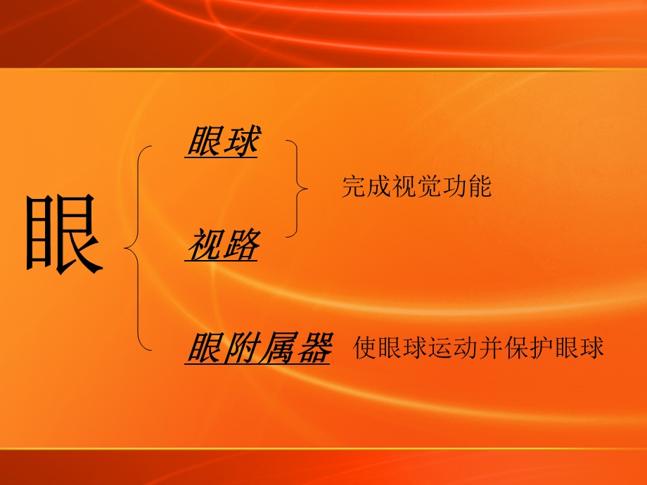 第一章眼的解剖与生理.ppt_第2页