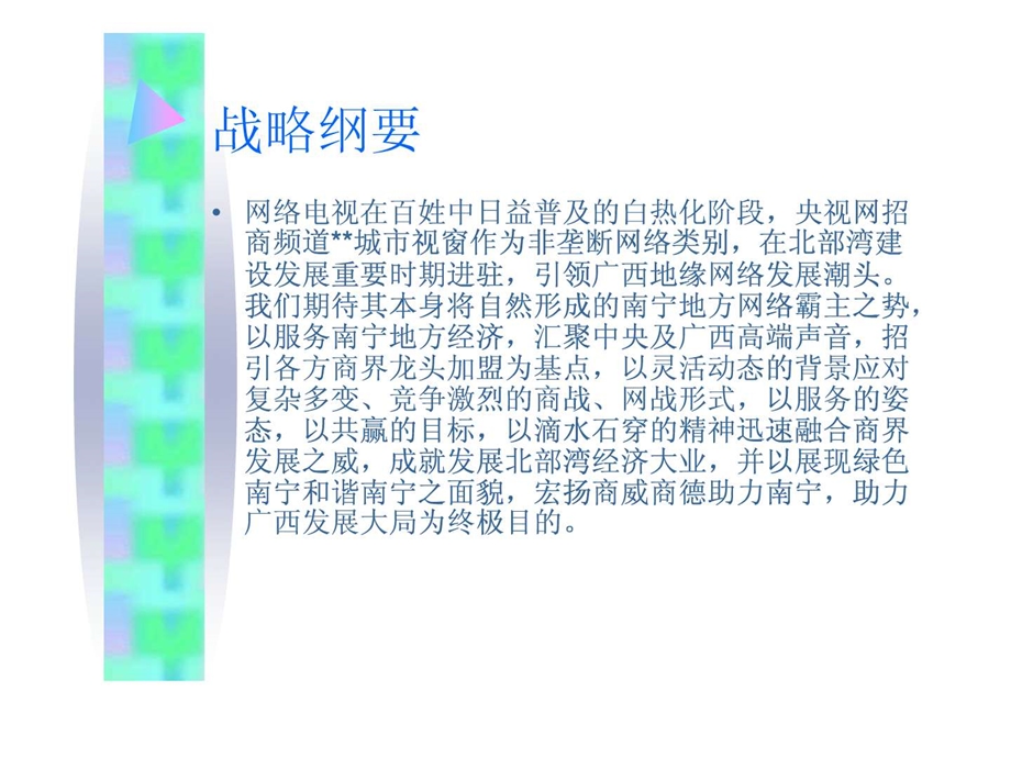 运营方案策划全稿.ppt_第2页