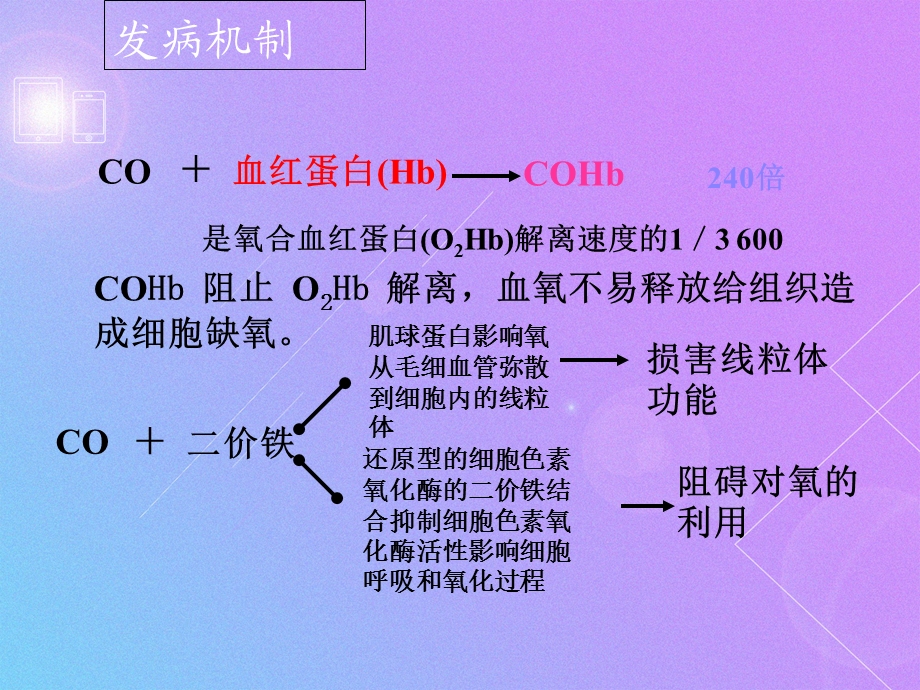 一氧化碳中毒及迟发脑病.ppt_第3页