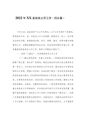 2022年XX县政务公开工作“回头看”自查报告.docx