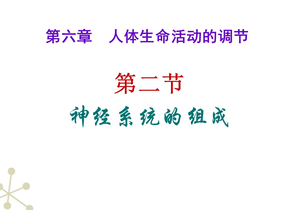 七年级下册生物学第六章第二节神经系统的组成.ppt_第2页