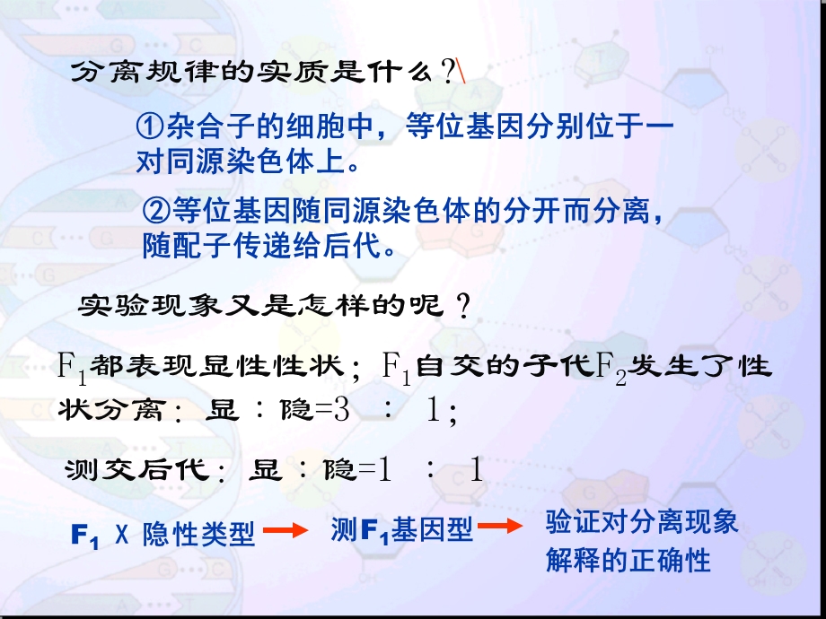 盂德尔的豌豆杂交实验(二).ppt_第2页