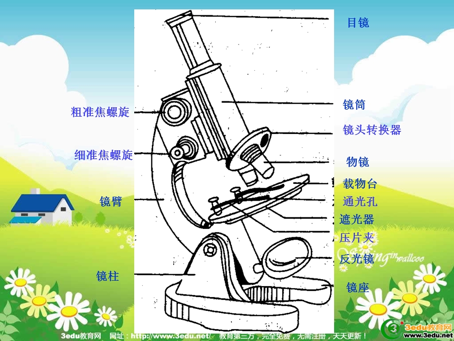 七年级生物显微镜的结构和使用.ppt_第3页