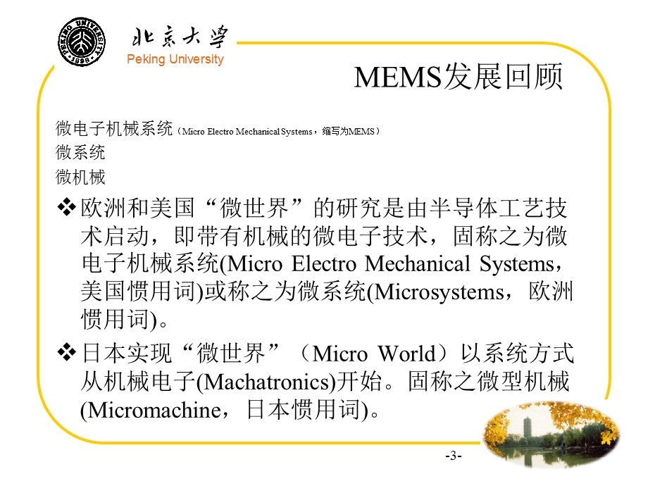 北京大学微光学.ppt_第3页