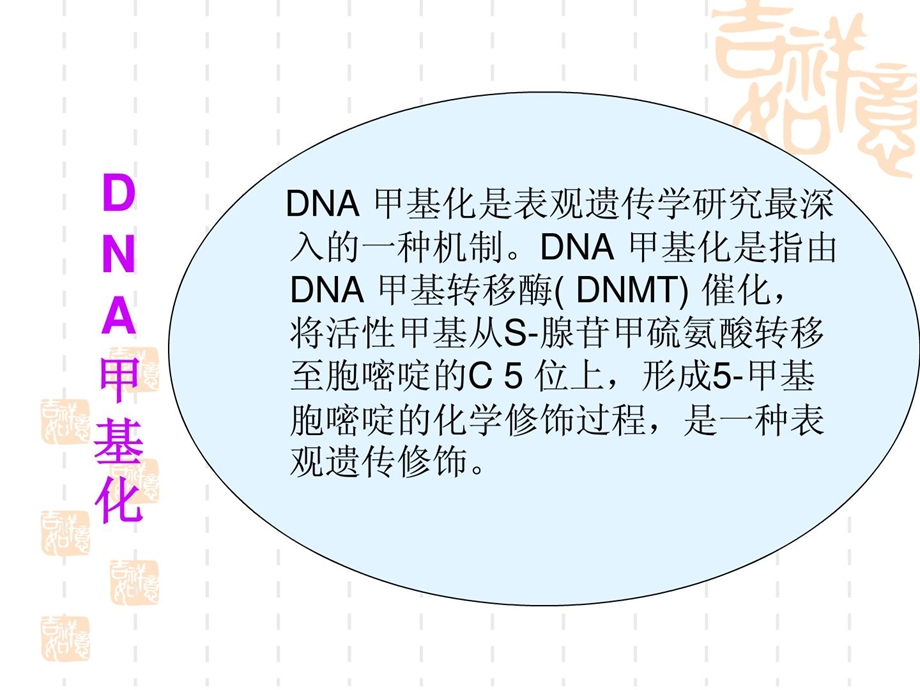 DNA甲基化与乳腺癌.ppt_第3页