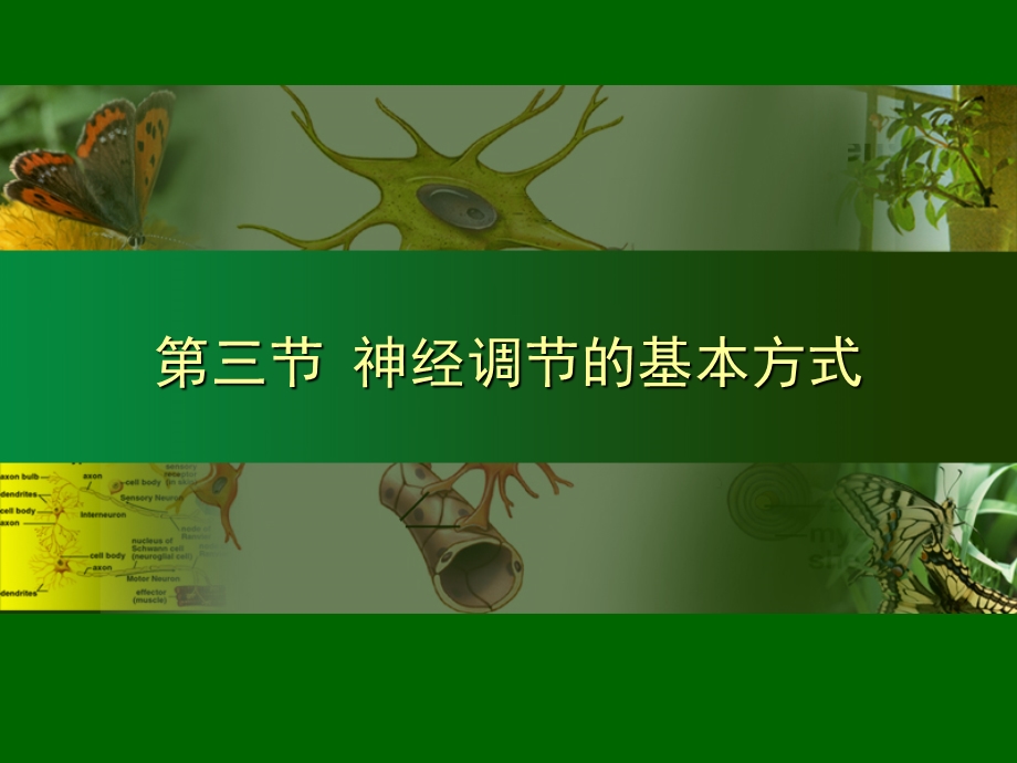 七年级生物第六章第3节课件.ppt_第1页