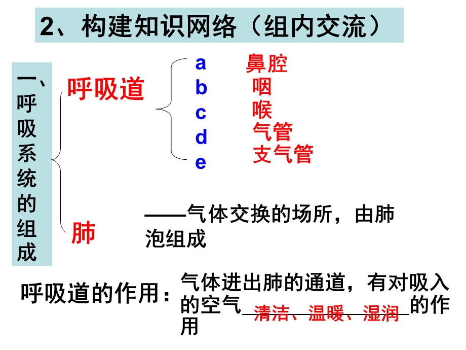 七下生物复习第三章人体的呼吸.ppt_第3页