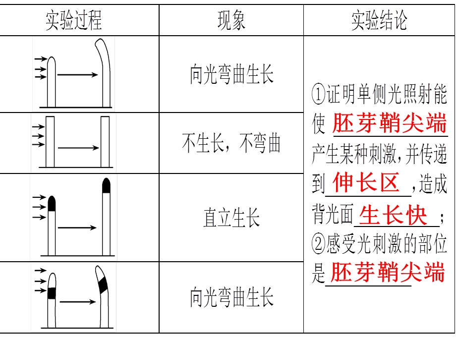 一轮复习必修三3-1植物的激素调节.ppt_第1页