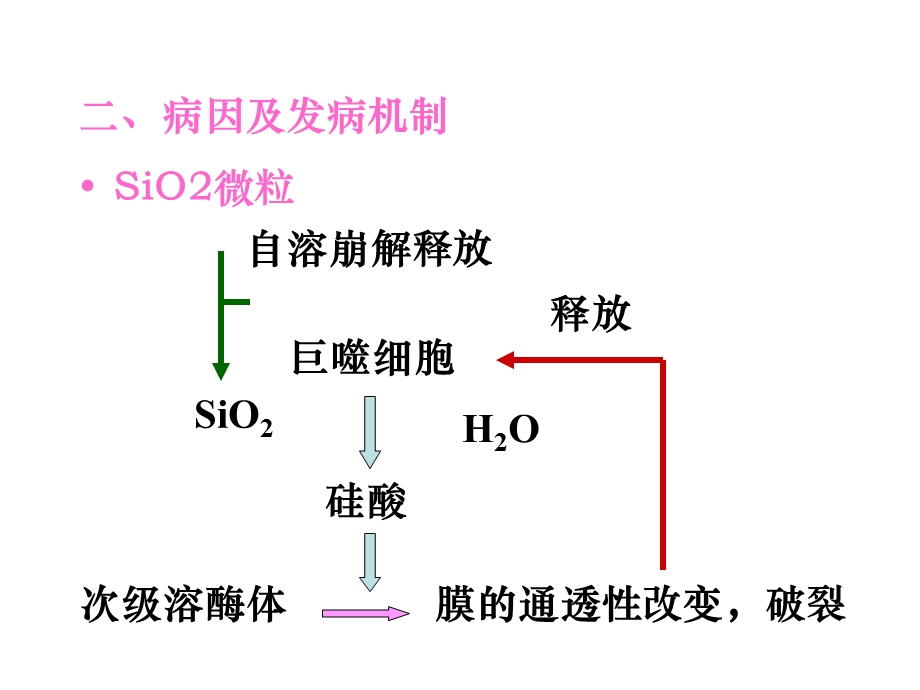 病理学硅肺、肺癌、鼻咽癌(上部分).ppt_第3页