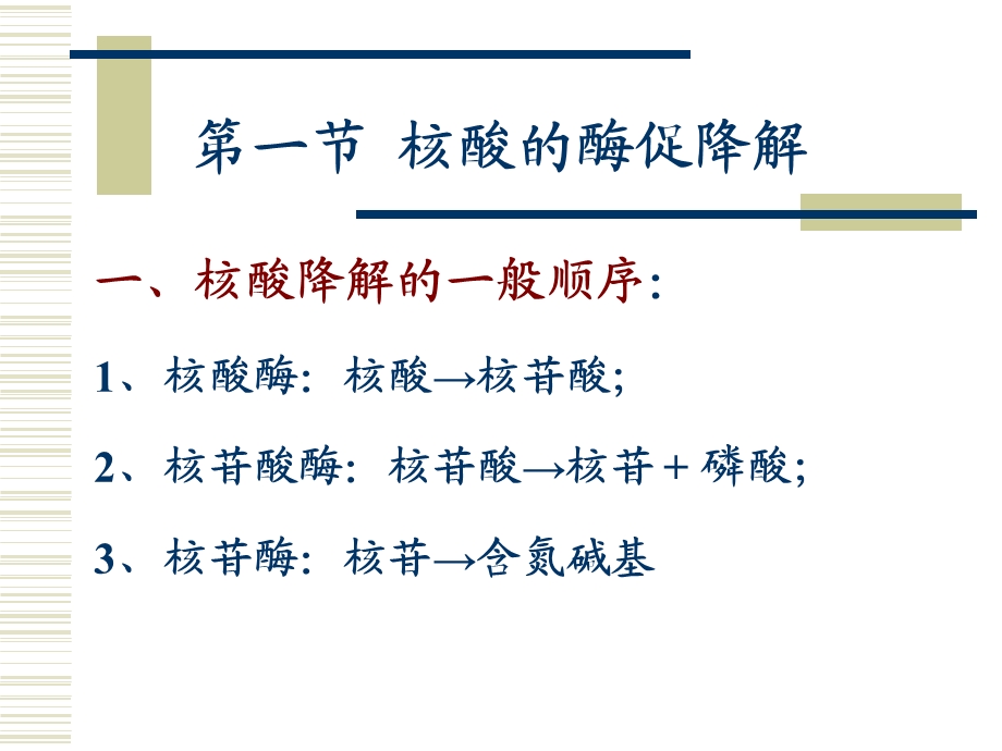 第9章核酸的降解与核苷酸代谢.ppt_第2页