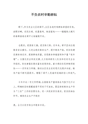 不负农时 辛勤耕耘.docx