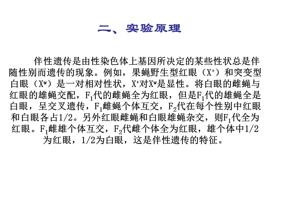 一部分遗传学规律验证.ppt_第3页