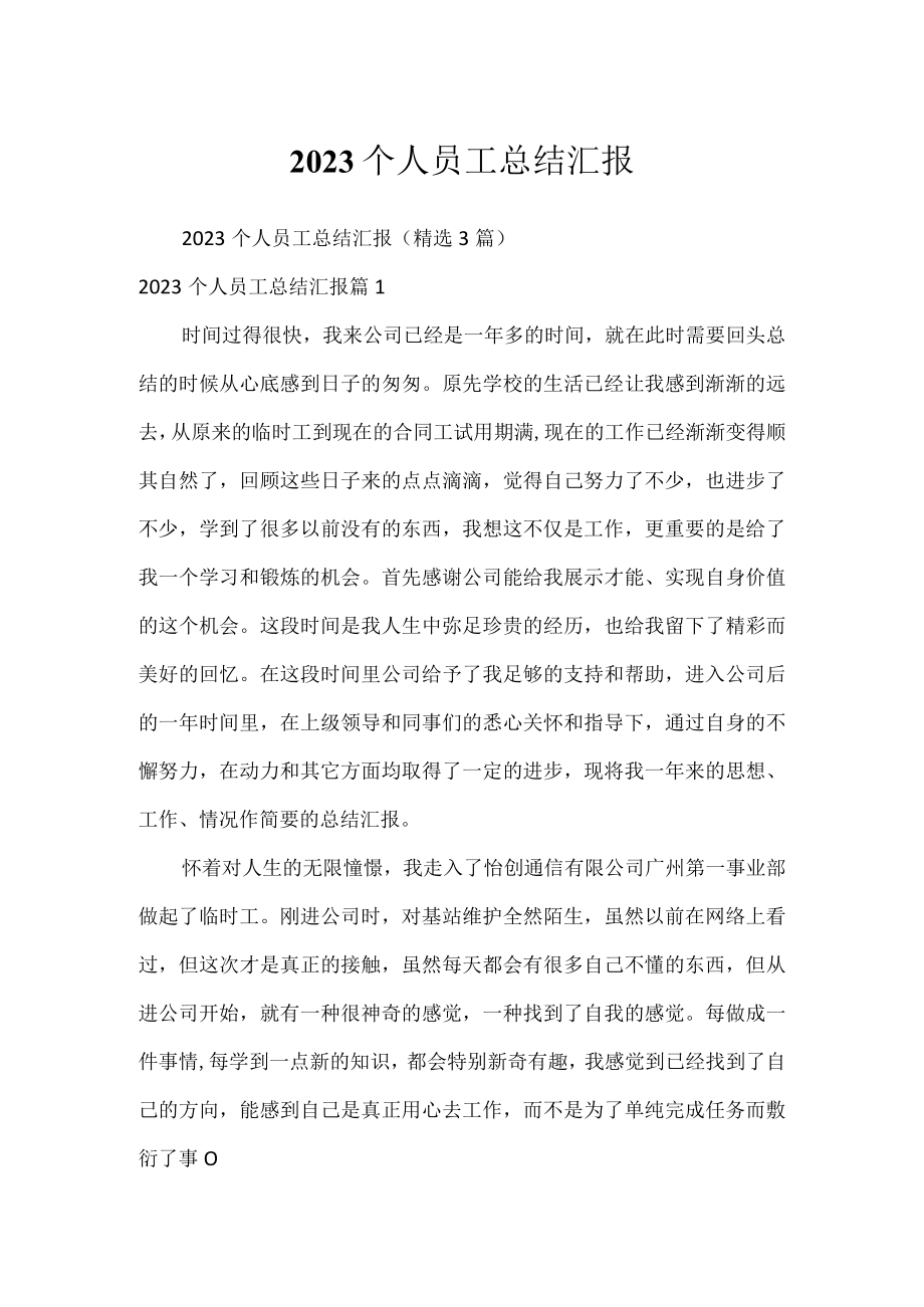 2023个人员工总结汇报.docx_第1页