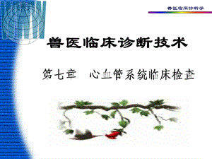 第二篇临床检查4.ppt