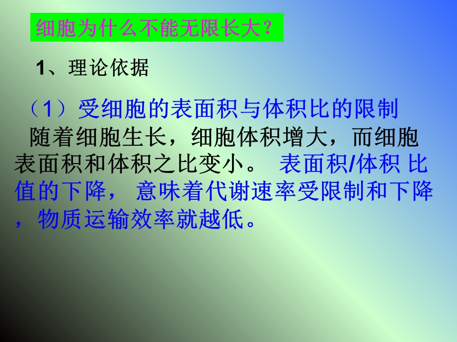 一轮复习细胞的增殖.ppt_第3页