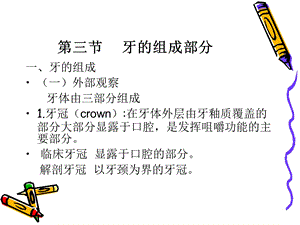 2牙的组成部分第四节牙体一般应用名词及表面标志.ppt