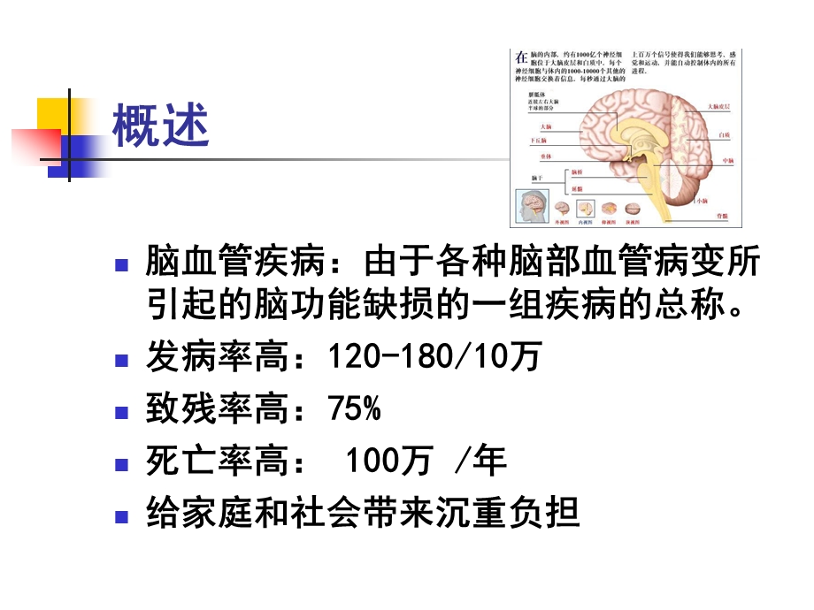 第九章神经系统第四节脑血管疾病.ppt_第2页