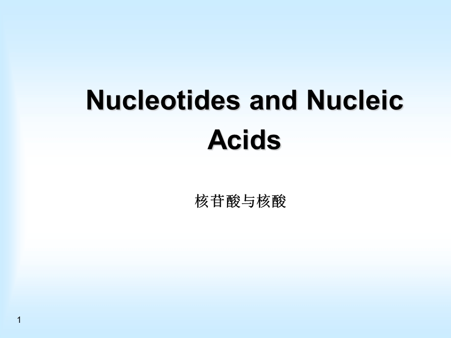 dd核苷酸与核酸.ppt_第1页