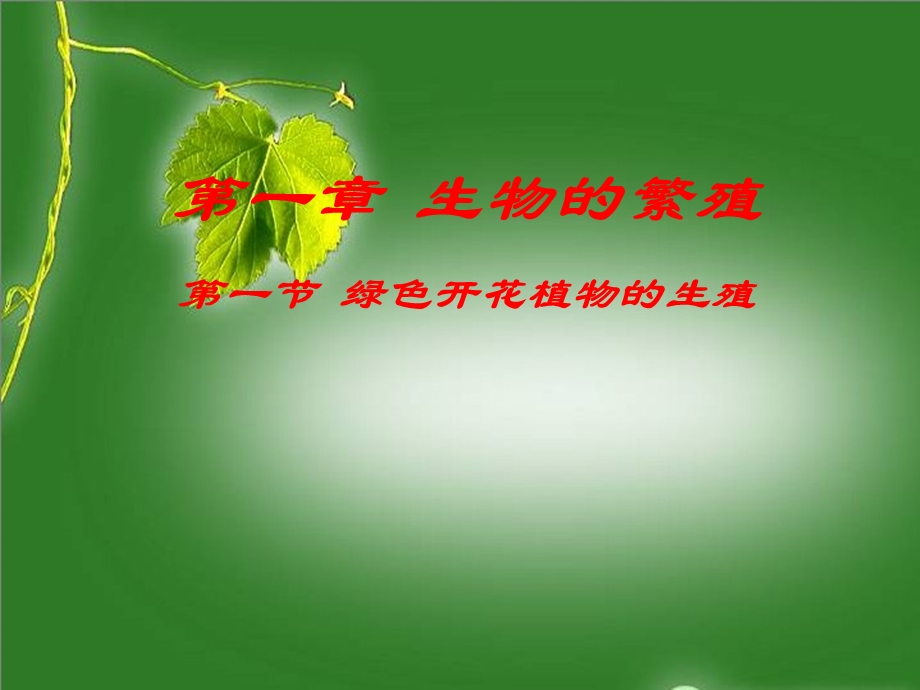 课件绿色开花植物的生殖精品教育.ppt_第1页