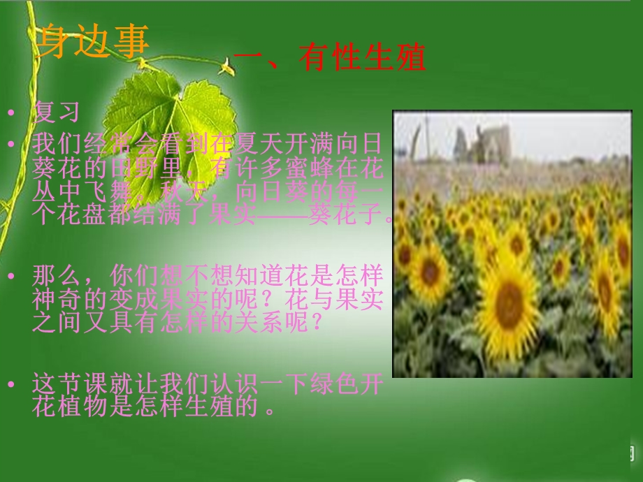 课件绿色开花植物的生殖精品教育.ppt_第3页