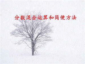 《分数混合运算和简便运算》.ppt