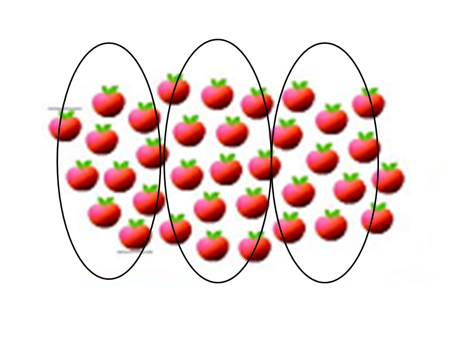 一年级下学期数学.ppt_第3页