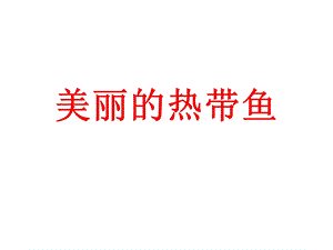 一年级美术课件-热带鱼乐园课件.ppt