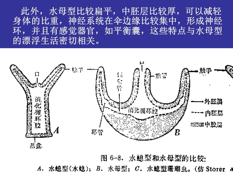 第三章腔肠动物门.ppt_第3页