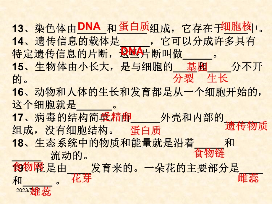 七年级上册生物复习题(PPT课件)资料.ppt_第3页