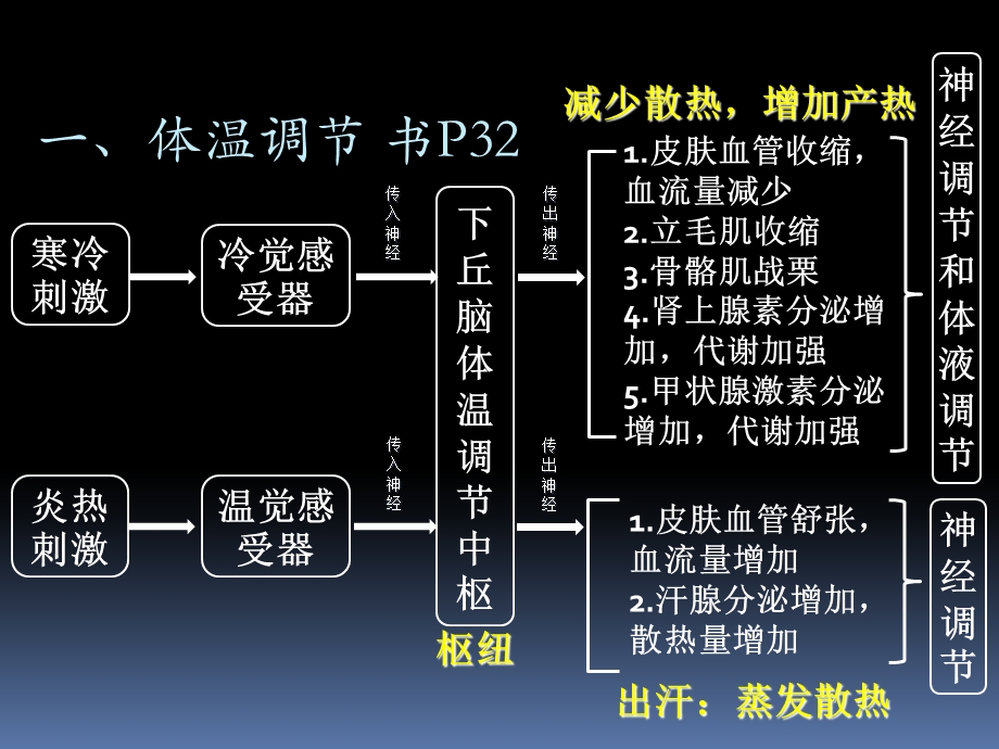 神经体液调节的实例.ppt_第2页