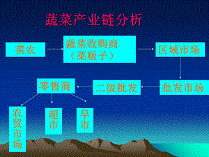 一般的蔬菜产业链.ppt