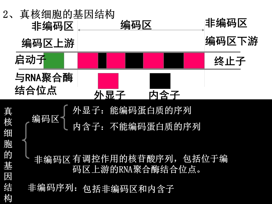 基因工程操作程序.ppt_第2页