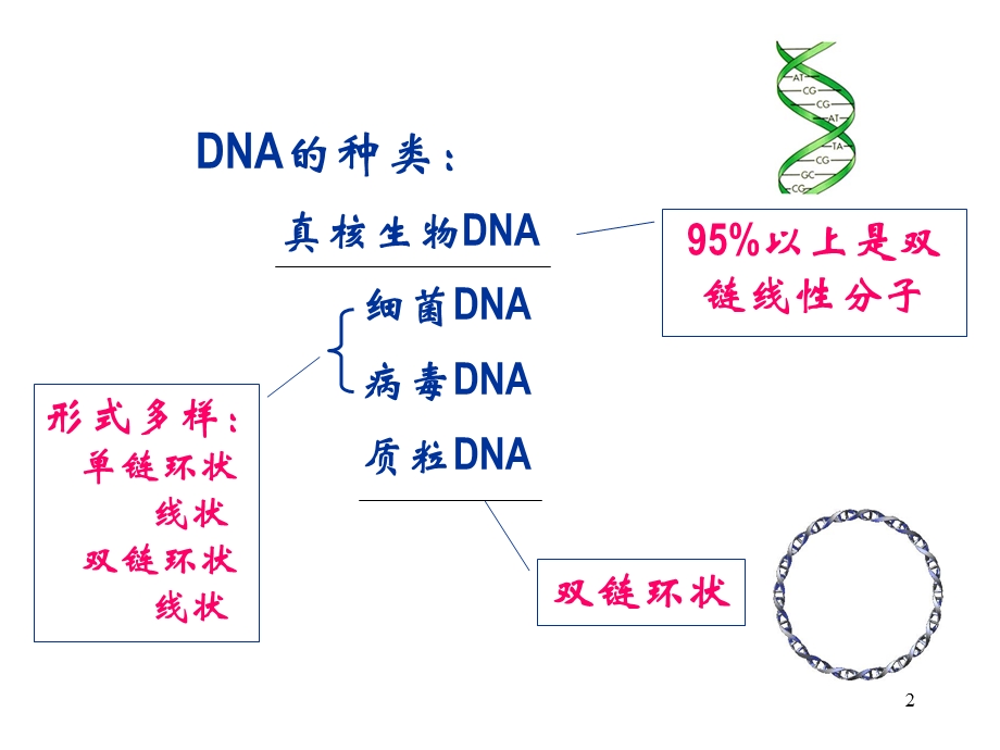 RNA和DNA抽提.ppt_第2页