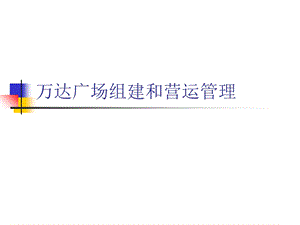 万达广场组建和营运管理.ppt