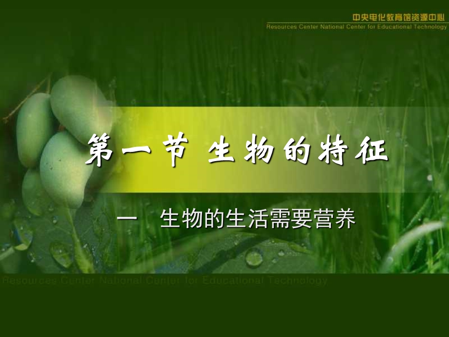 七年级生物生物的特征.ppt_第1页