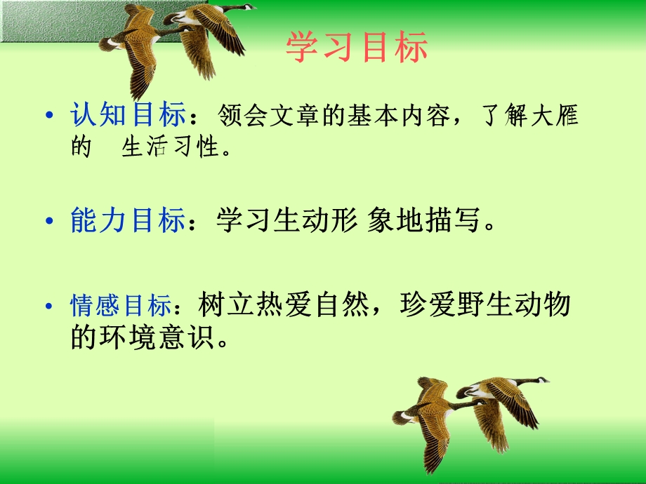 《大雁归来》优秀课件.ppt_第2页