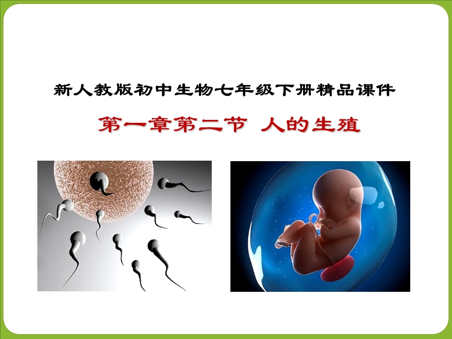 七年级下册生物生殖器官.ppt_第1页