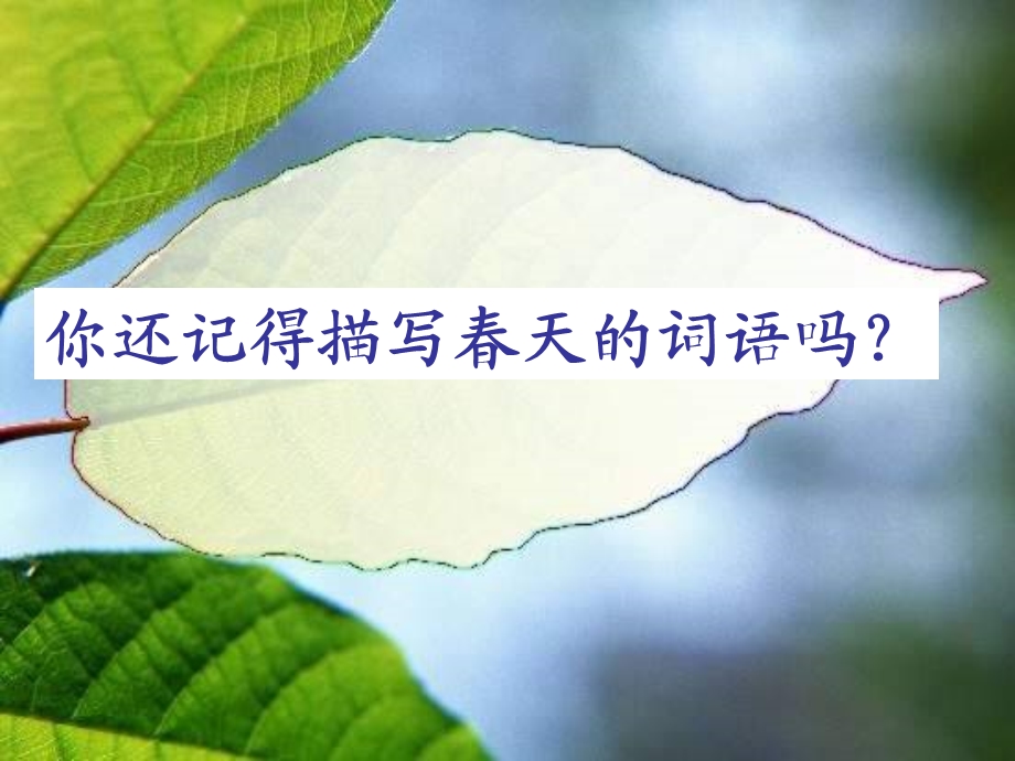 一年级春雨的色彩.ppt_第1页