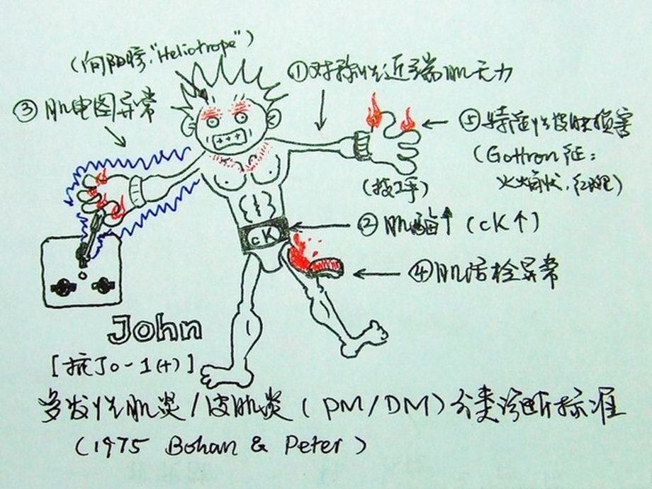 医学才人舒畅.ppt_第2页