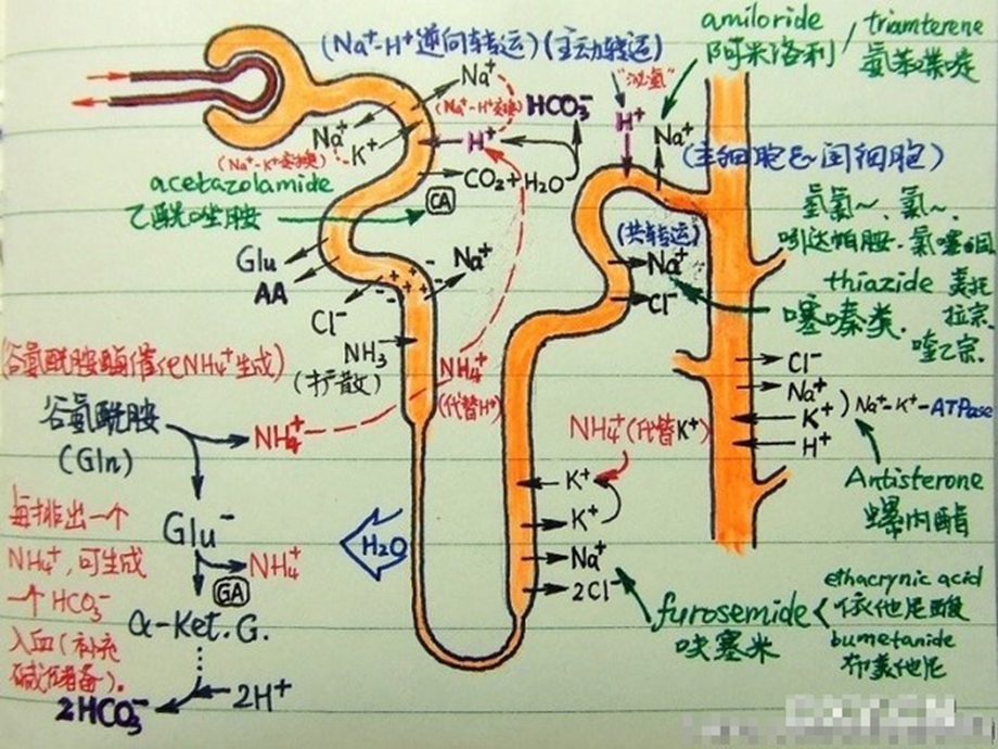 医学才人舒畅.ppt_第3页